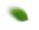 Feuille